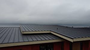 Best Steel Roofing  in Lakeland, NY